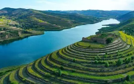 重點(diǎn)行業(yè)VOCs治理“一企一策”！寧夏空氣質(zhì)量持續(xù)改善行動(dòng)實(shí)施方案公開征求意見