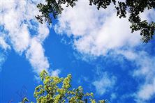 迎“藍(lán)”而上！直擊攀枝花、德陽、內(nèi)江大氣攻堅(jiān)現(xiàn)場(chǎng)