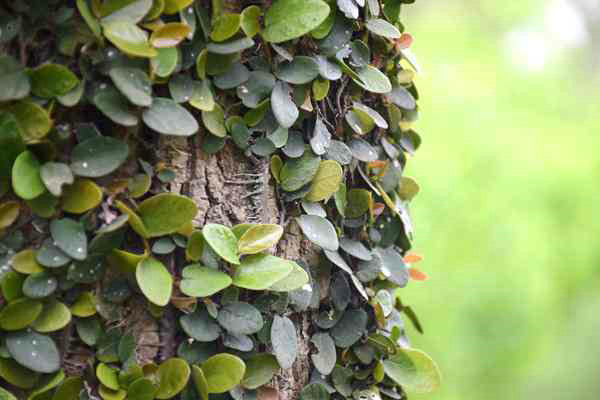 全國已建成“兩級、三類、一清單”的生態環境分區管控體系 