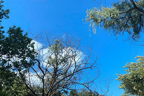 筑牢“真準全”數據基石，數智賦能打贏藍天保衛戰 