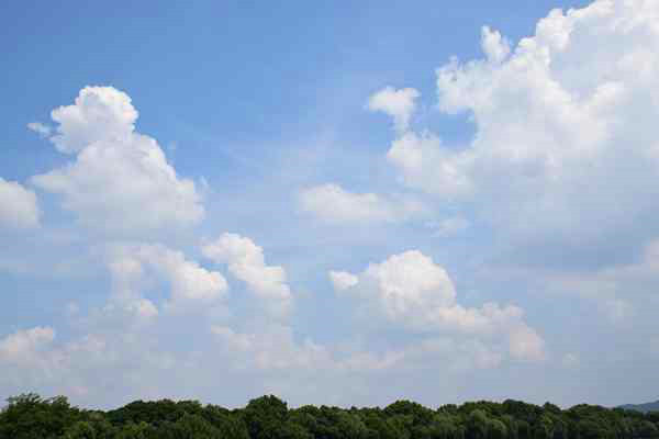 精準“削峰”戰臭氧，全力守護“瓷都藍”