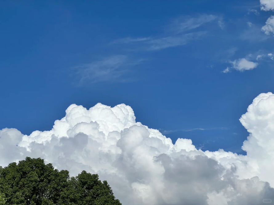 廣州藍，8微克閃耀全運！從化綠，6微克奠定基石！