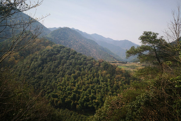 甘肅“五棋聯動”筑牢西部生態屏障，PM2.5平均濃度連續兩年同比下降