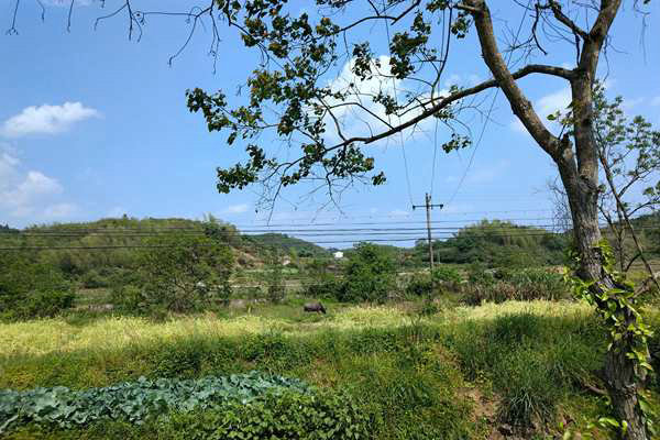 京津冀及周邊地區出現中至重度污染，多地啟動預警積極應對