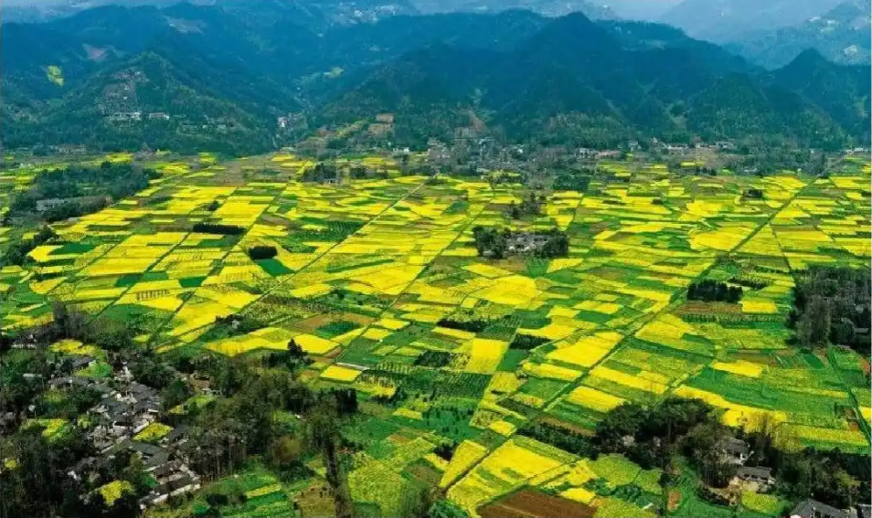 讓美麗四川顏值更高、實力更強！示范創建將從三方面發力